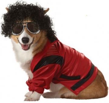 Pop King Dog Costume