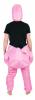 Inflatable Flamingo Costume