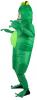 Inflatable Frog
