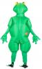 Inflatable Frog