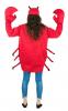 Crab Costume