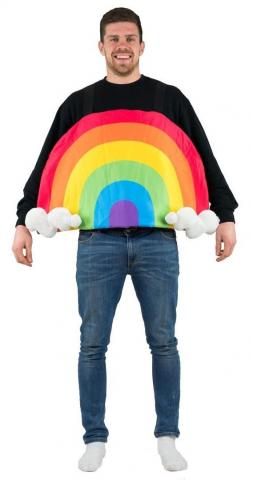 Adult Rainbow Costume