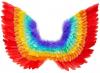 Rainbow Feathered Wings