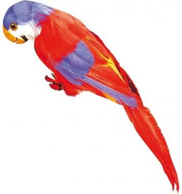 Red Feathered Parrot