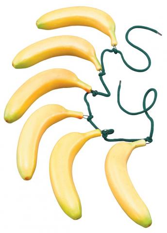Banana belt