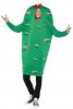 Cactus Costume