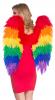 Large Rainbow Feather Wings