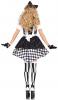 Wonderland Alice Costume