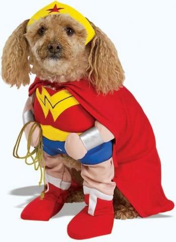 wonderwoman dog costume