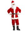 Professional Santa Costume
