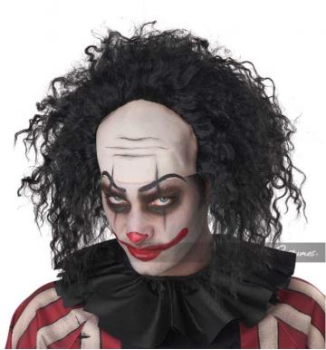 Clown Wig