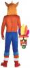 Adult Crash Bandicoot Costume