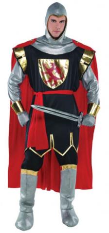 Brave Crusader Costume
