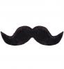 mustache photo