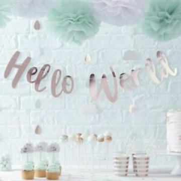 Hello World Rose Gold Bunting