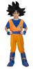 Boys Goku Costume