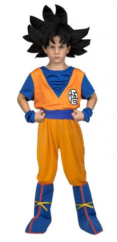 Boys Goku Costume