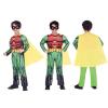 Robin Classic Costume - Kids