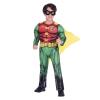 Robin Classic Costume - Kids