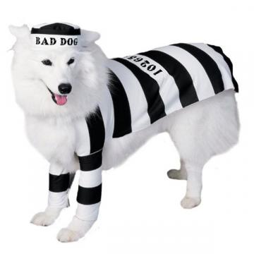 Prisoner Dog Costume