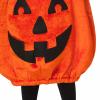Pumpkin Patch Cutie Costume