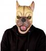 French Bulldog Mask