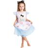 Blue Alice in Wonderland Costume