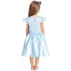 Blue Alice in Wonderland Costume.1