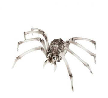 Skeleton Spider