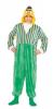 Sesame Street Bert Onsie - Adult