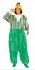 Sesame Street Bert Onsie - Adult