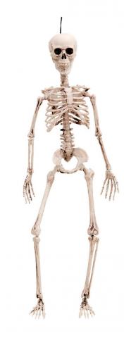 Hanging Skeleton Decoration