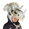 Fossil Dinosaur Costume