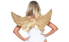 Gold Feather Wings
