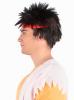 Street Fighter Ryu Wig
