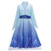 Frozen Princess Costume - Kids