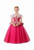 Sleeping Beauty Costume