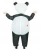 Inflatable Panda Costume