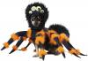 Spider Pup Dog Costume