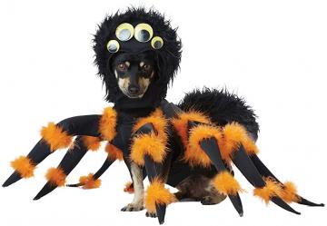 Spider Pup Dog Costume