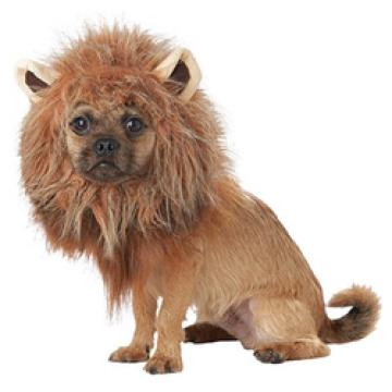 King Of The Jungle Dog Costume