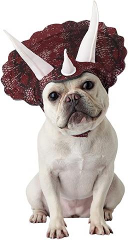 Triceradog Costume