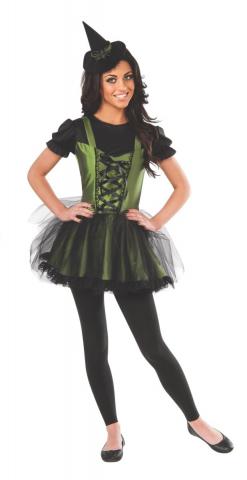 Wicked Witch Of The West Costume - Ladies