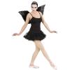 Ladies Prima Ballerina Costume.2