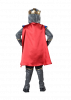 Knight Toddler Costume