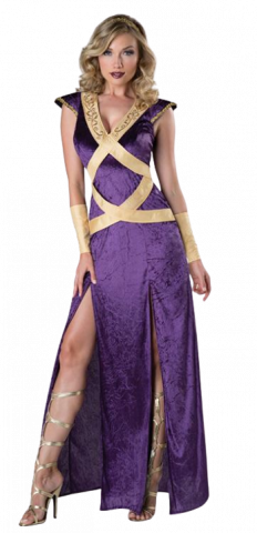 dark forest maiden costume