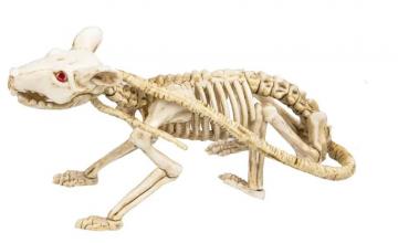 skeleton rat decoration
