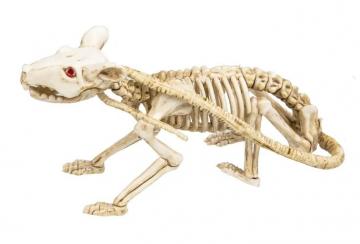skeleton rat decoration