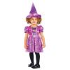 Paw Patrol Skye Witch Costume