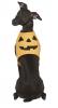Pumpkin Tunic Dog Costume